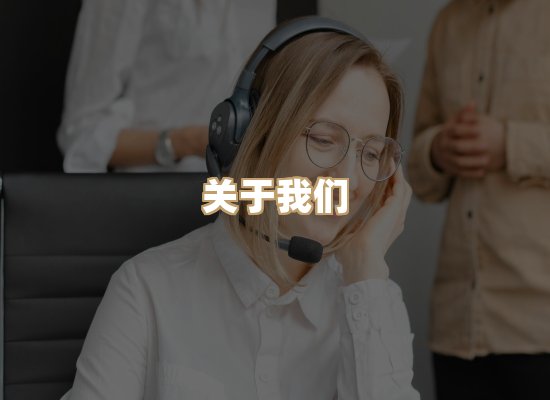 关于紫星资质排版网